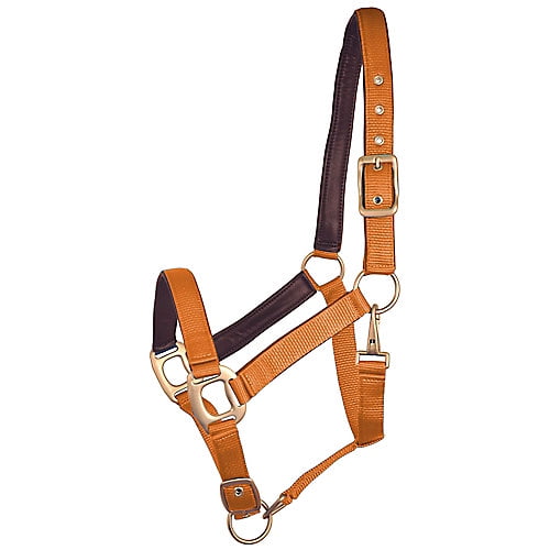 Miniature Horse Adjustable Leather Halters 58-inch